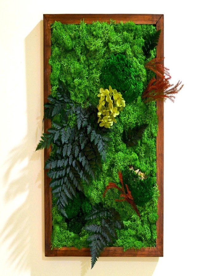 myBageecha - Fern Frenzy Preserved Real Moss Frame with Fern Flowers Home Decor Wall Art for Interior Vertical Garden Dark Brown Wooden Frame Green 18Inch x 12Inch - Image 1